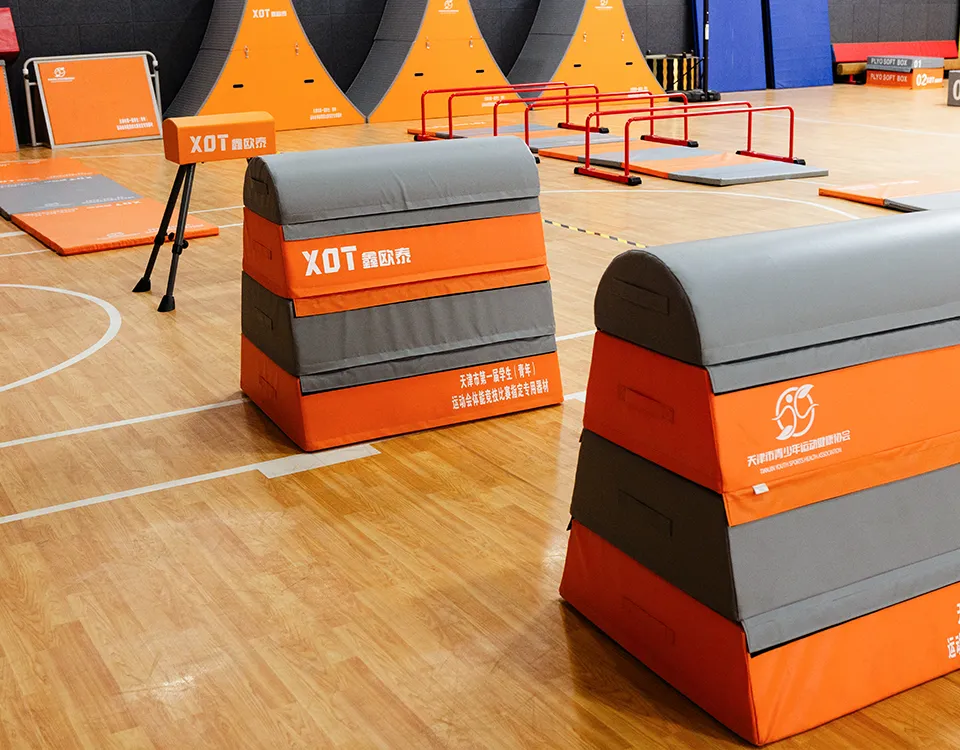 Physical Fitness Soft paketas